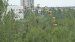 2014-06-03_05_Czarnobyl_Prypec_458.jpg